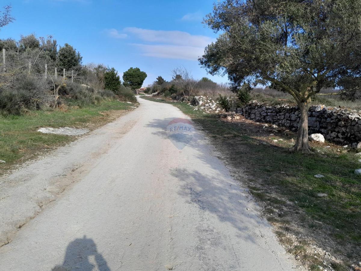 PREMANTURA