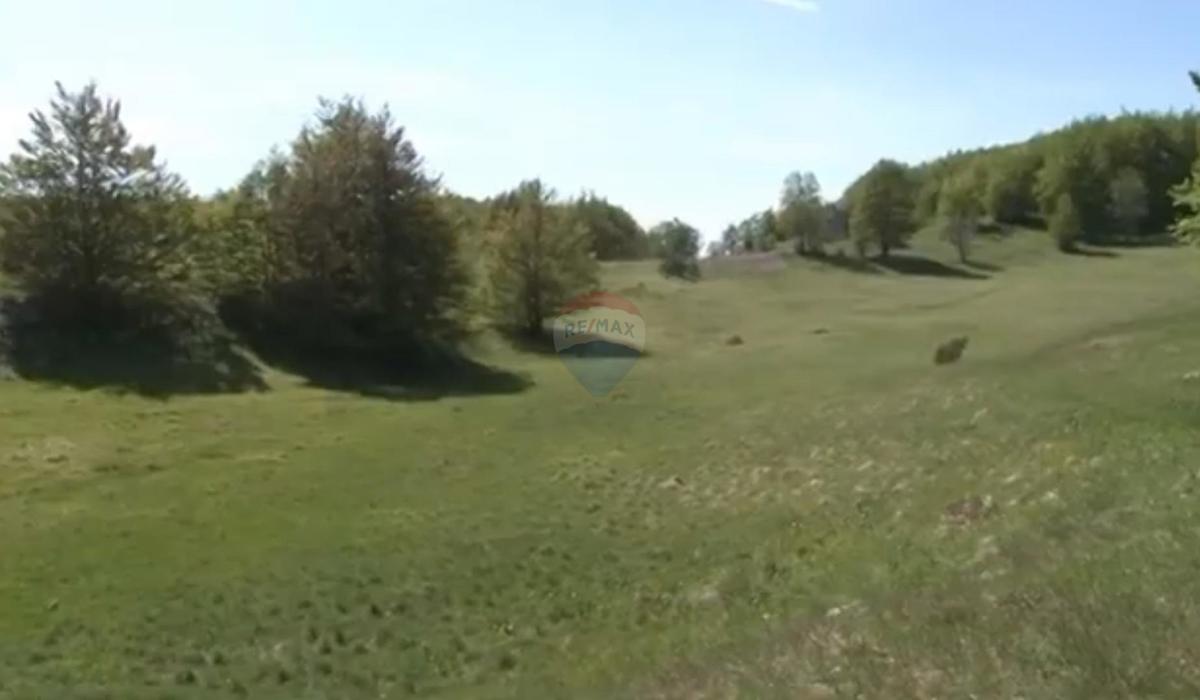 JELENJE