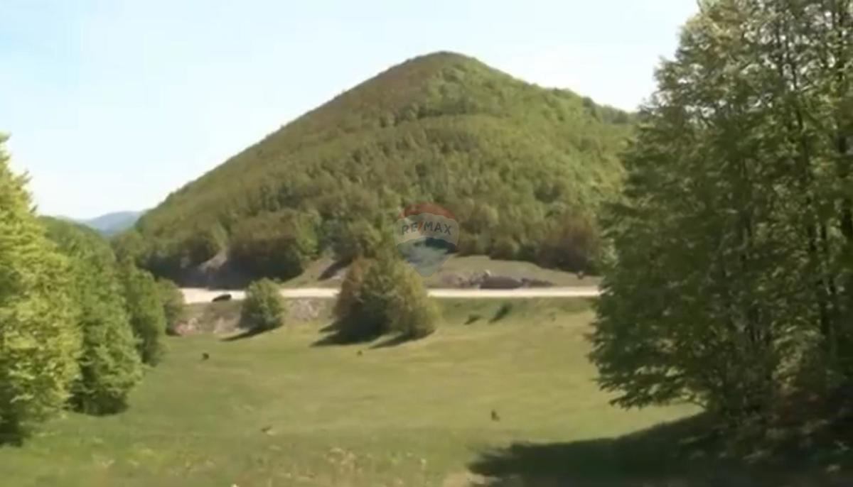JELENJE