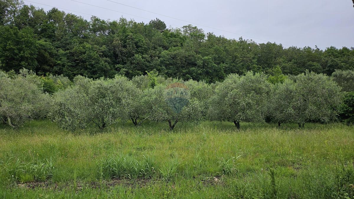 GROŽNJAN
