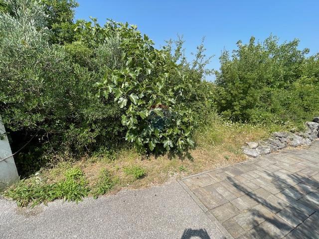 VRBNIK