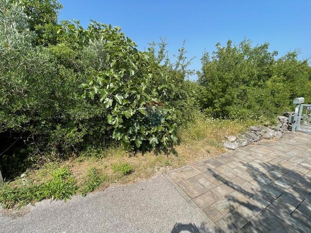 VRBNIK
