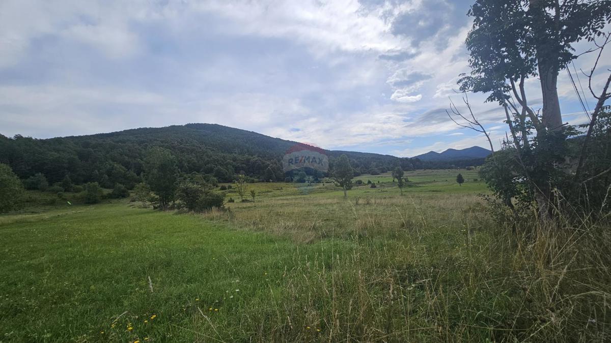 MRKOPALJ