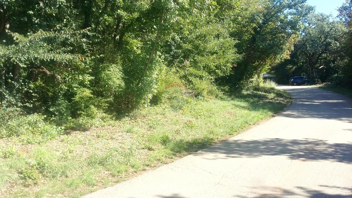 LOVREČICA