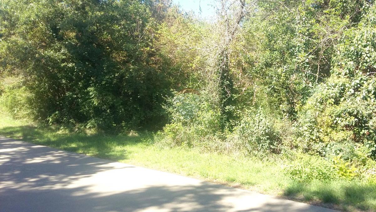 LOVREČICA