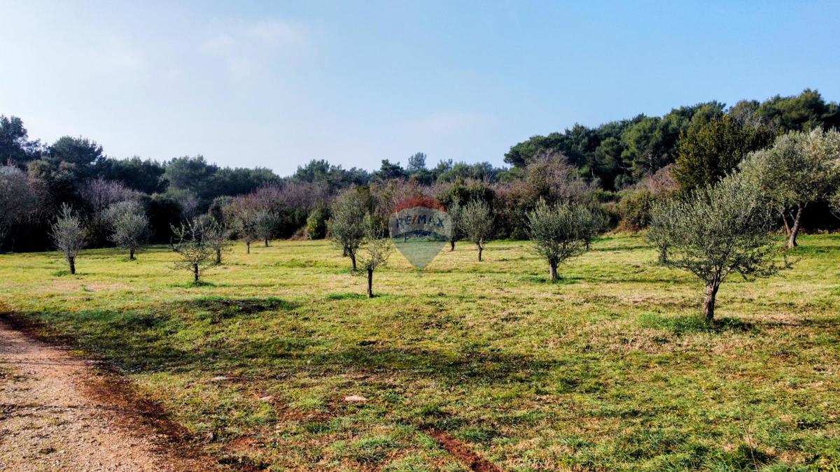 Terreno ROVINJ, 77.500 €