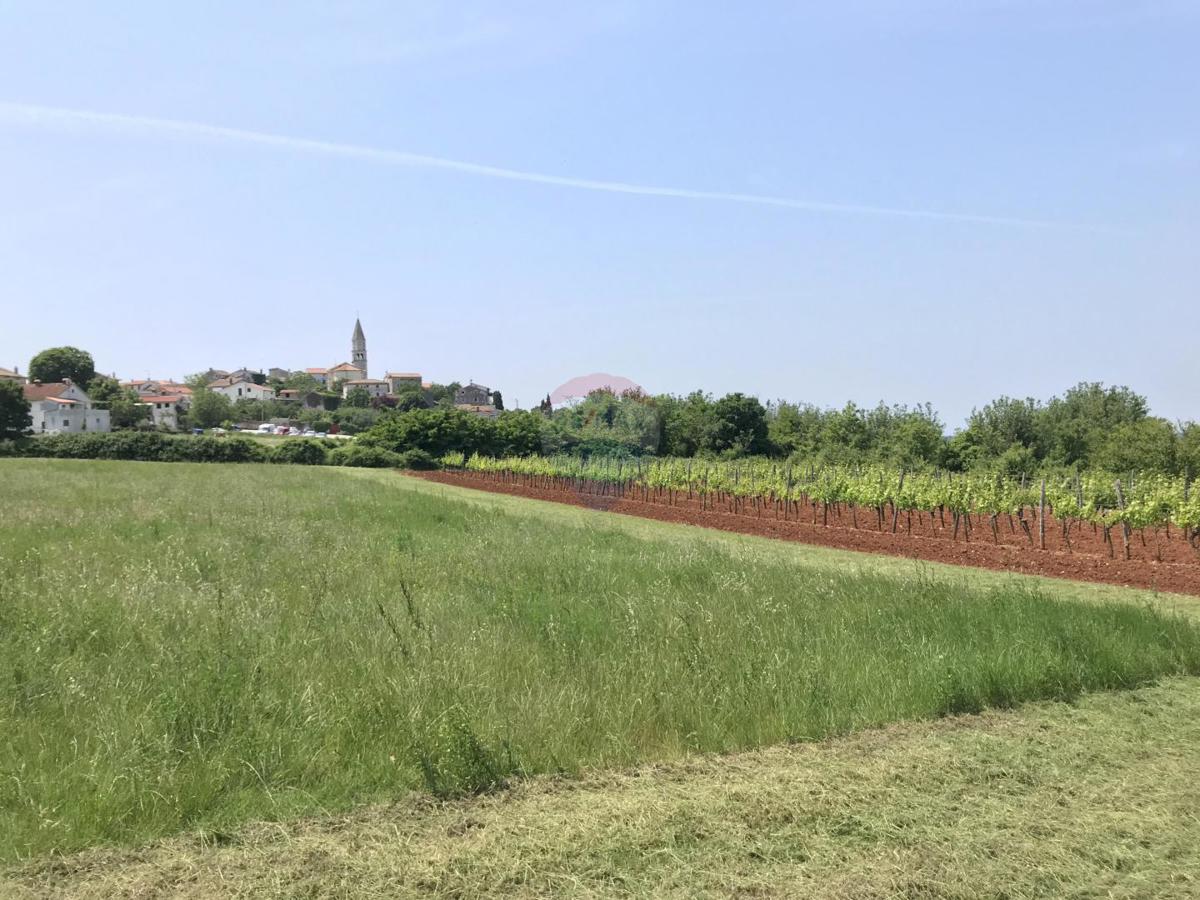 Участок VIŠNJAN, 138.000 €