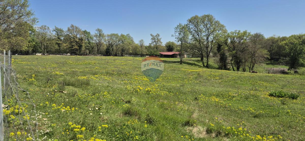 Участок ŽMINJ, 80.000 €