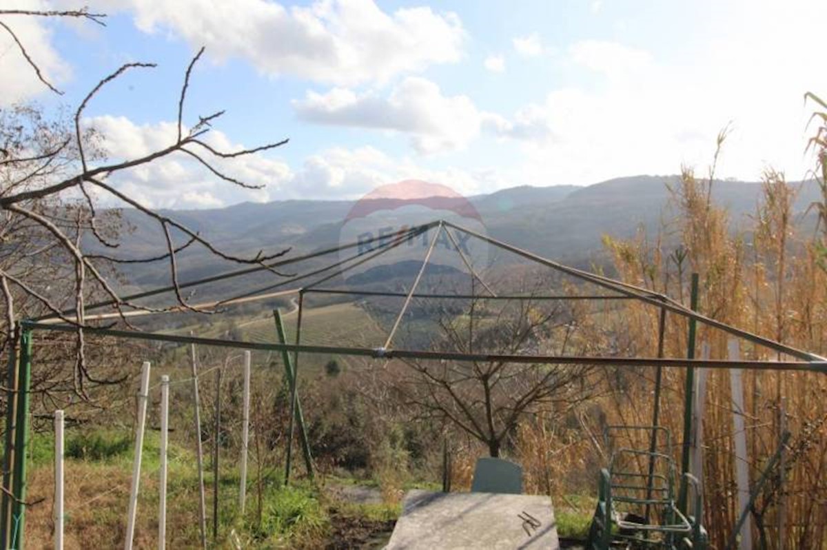 MOTOVUN