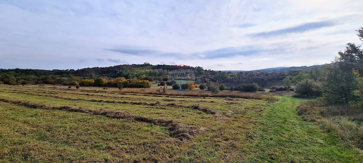 GROŽNJAN