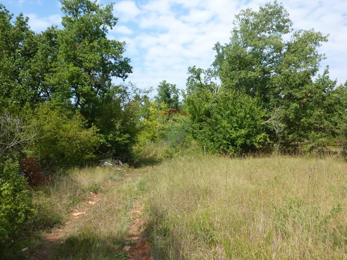 VRŽNAVERI