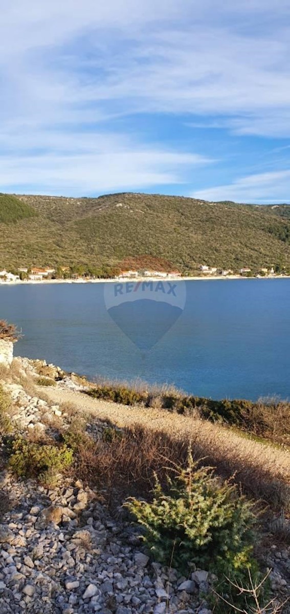 MARTINŠĆICA