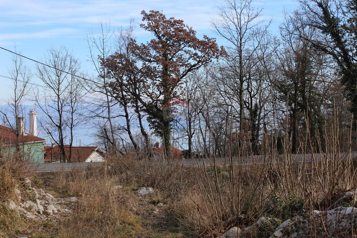 VEPRINAC