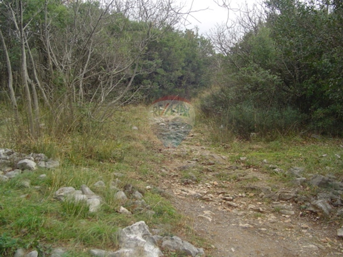 KOSTRENA SVETA LUCIJA