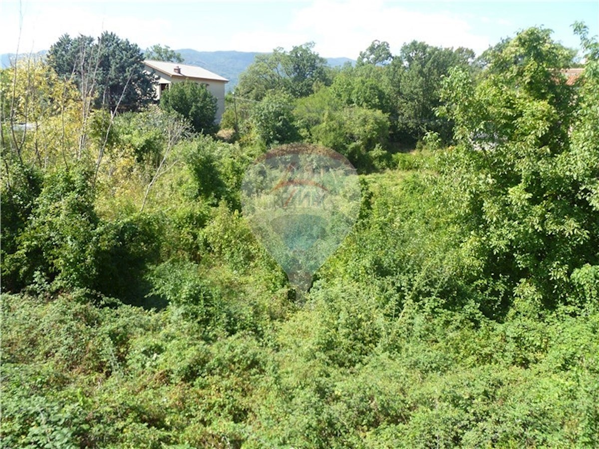 MARTINKOVAC