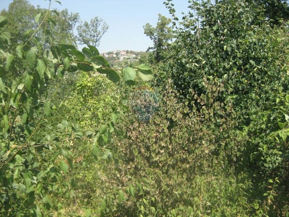RUBEŠI