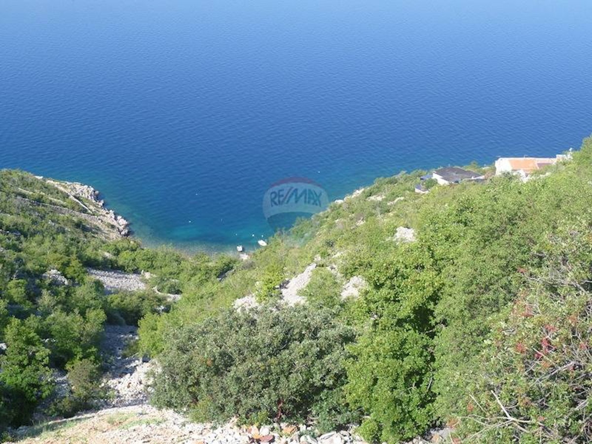 STARIGRAD