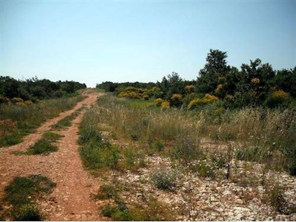 VODNJAN