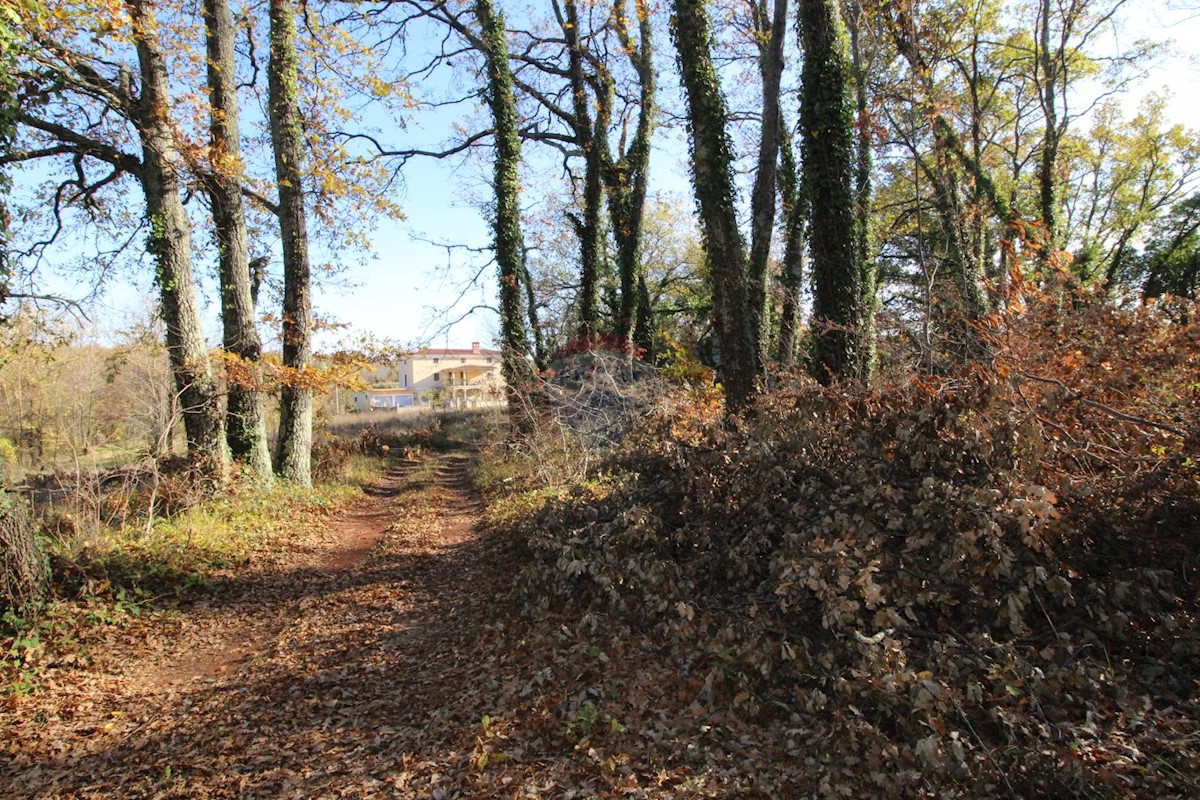ŠTUTI