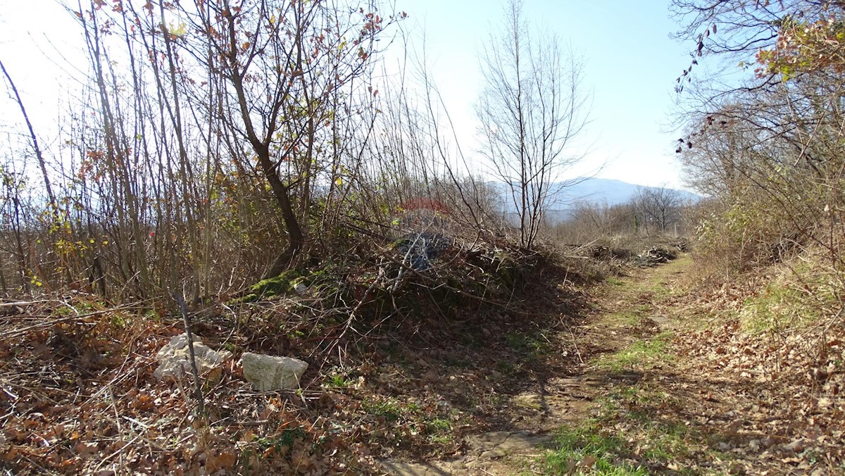 VIŠKOVO