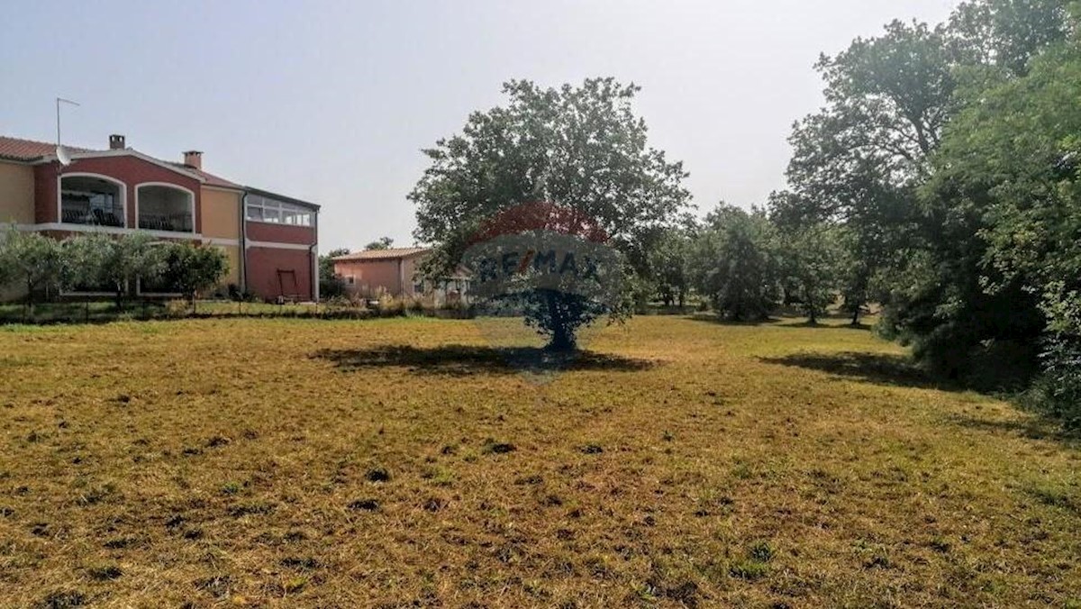 NOVA VAS