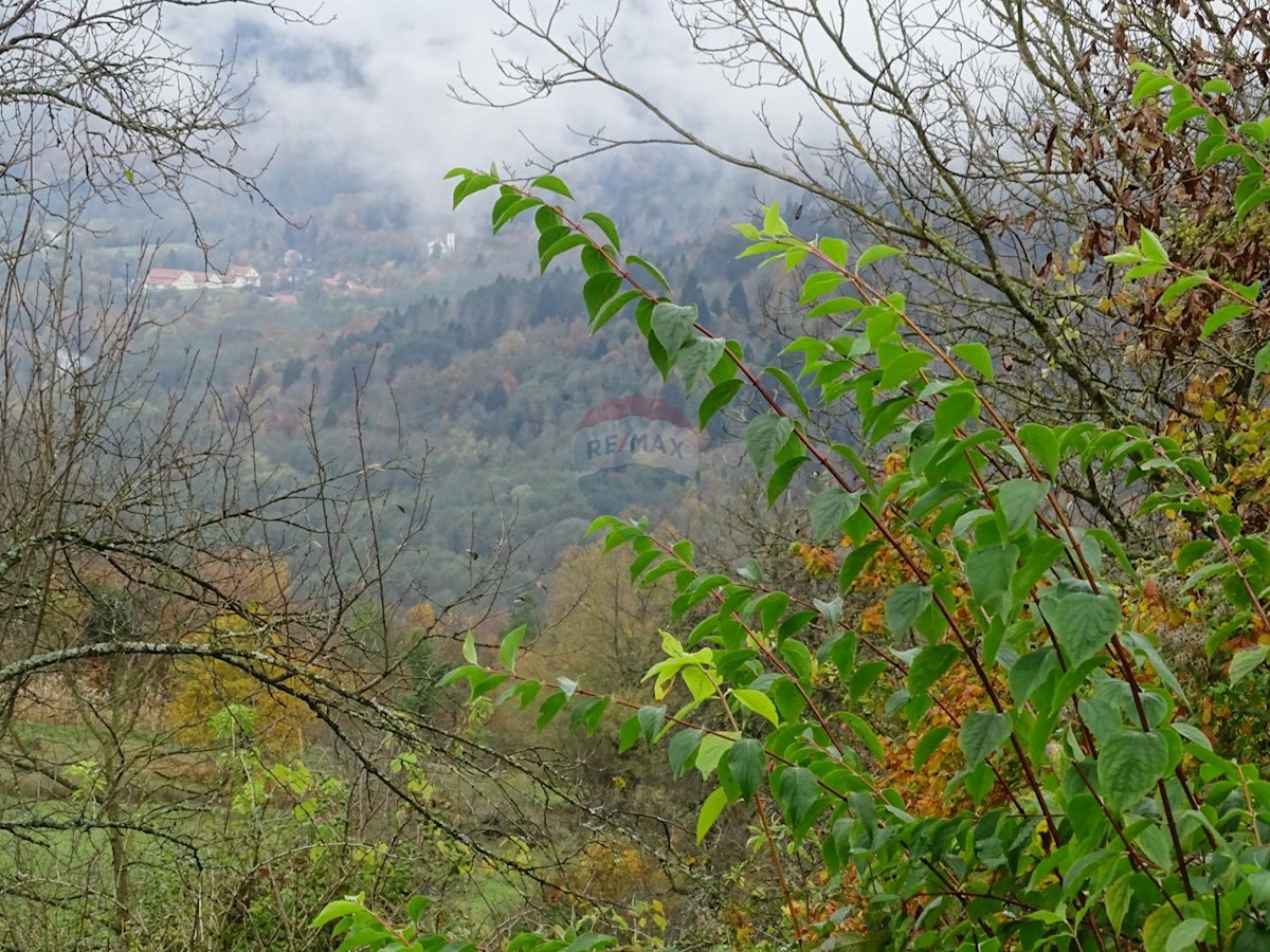 MRZLA VODICA