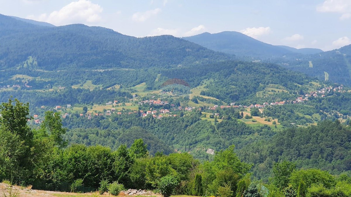 HAJDINE