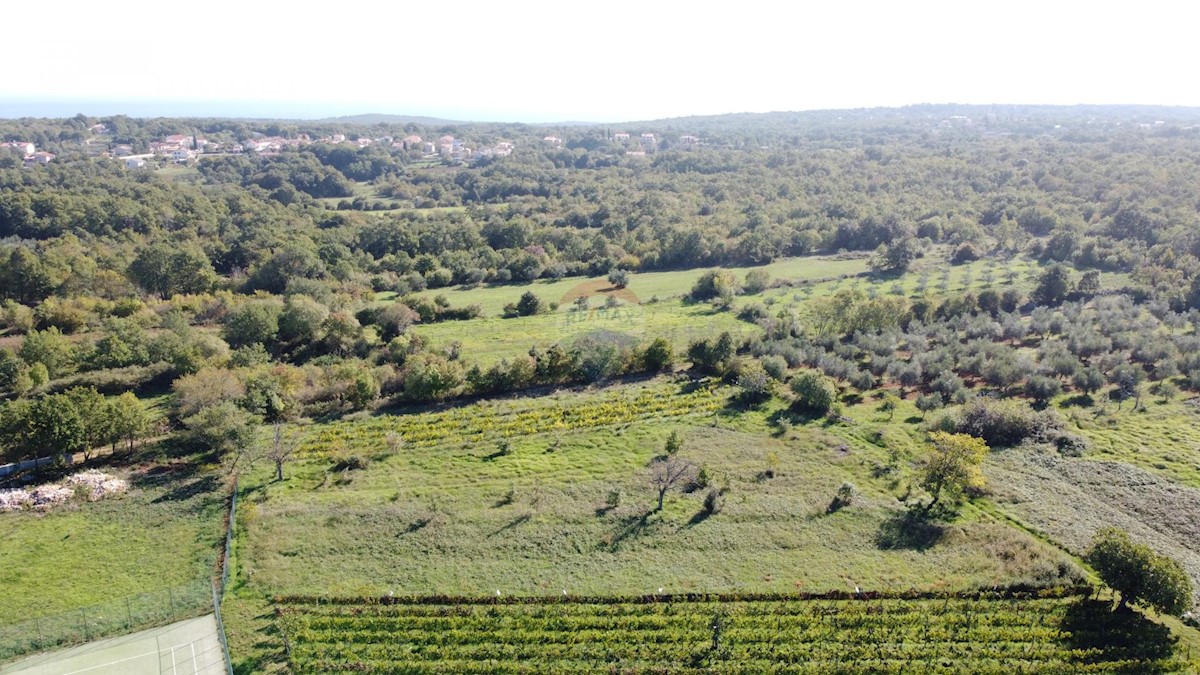 MARČANA
