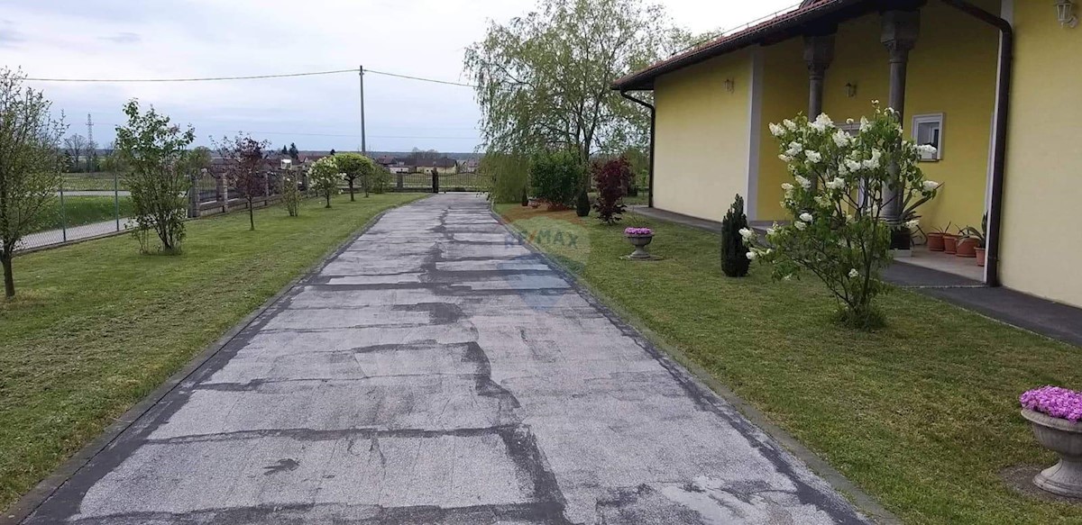 BRATINA