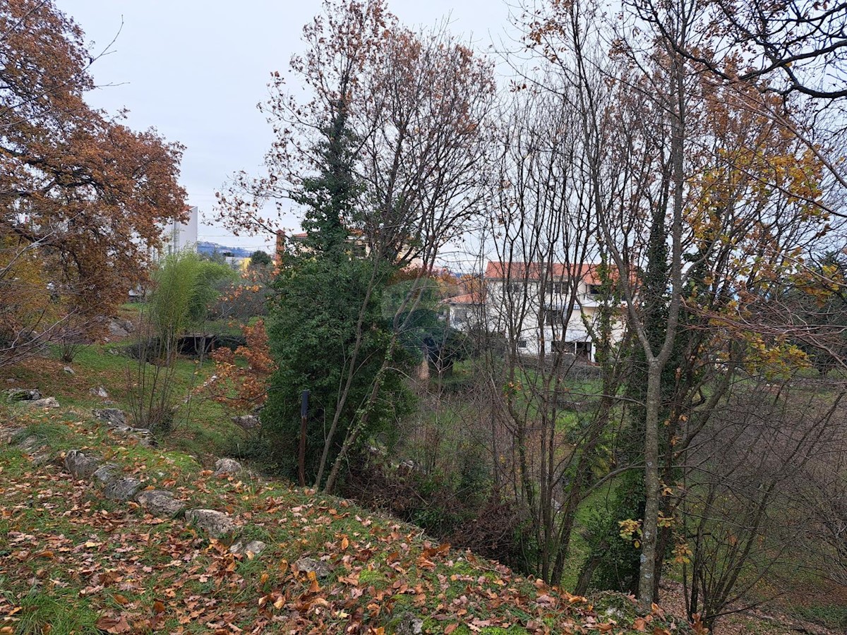 MATULJI