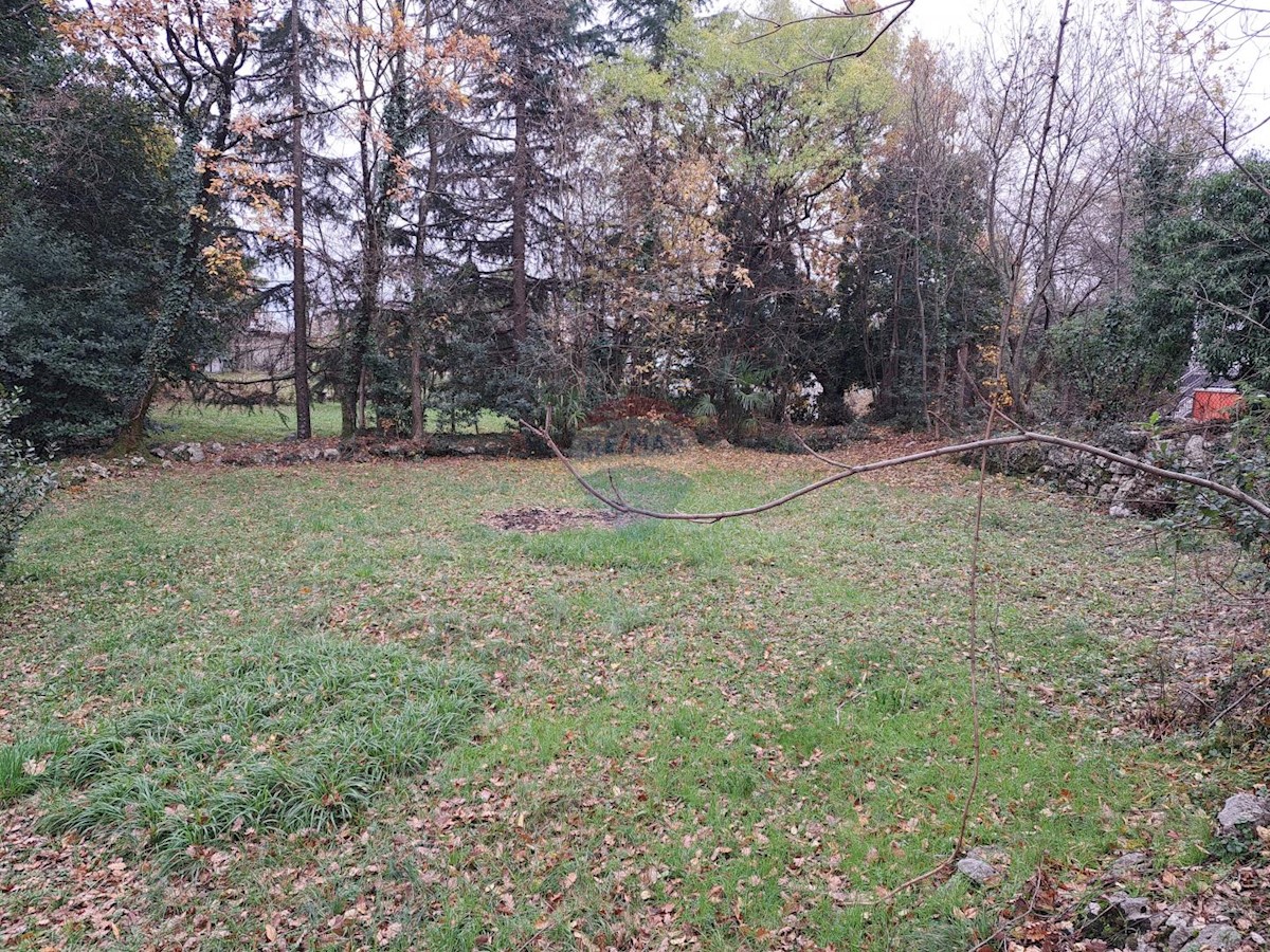 MATULJI