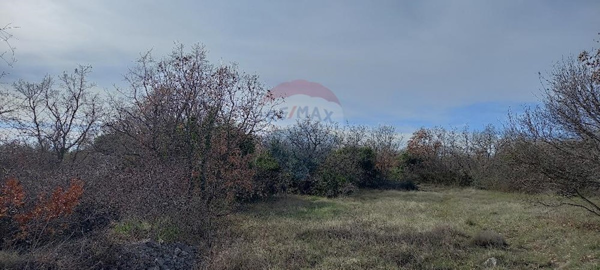 VODNJAN