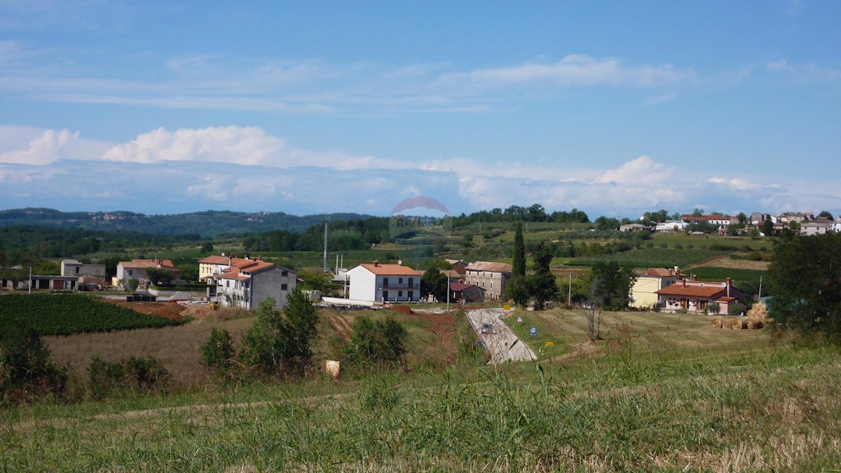 MEKIŠI KOD VIŽINADE