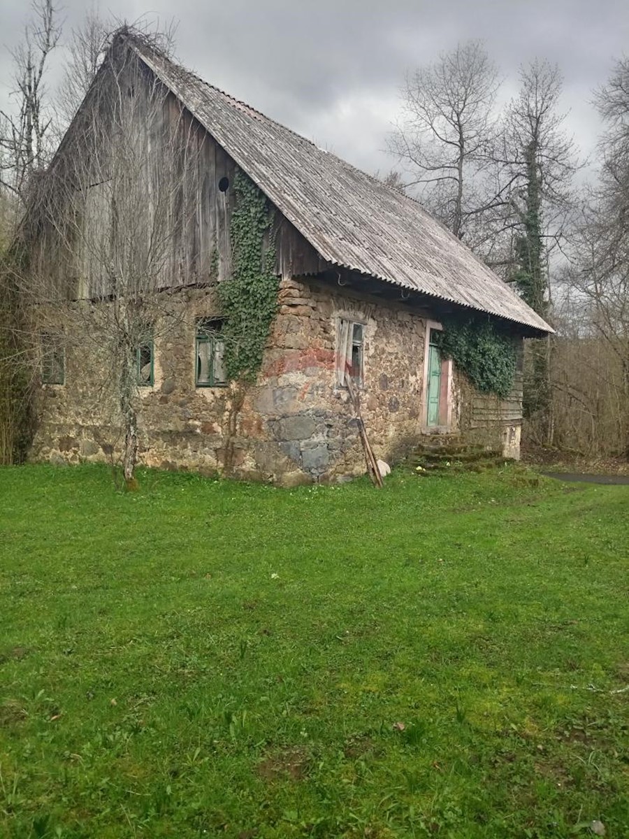 PLEŠCE