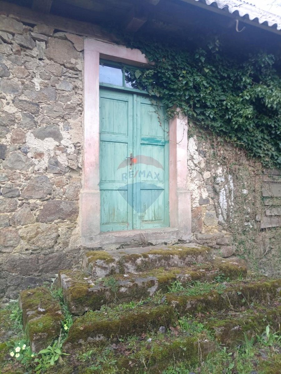 PLEŠCE