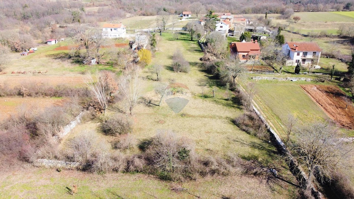 ŽMINJ
