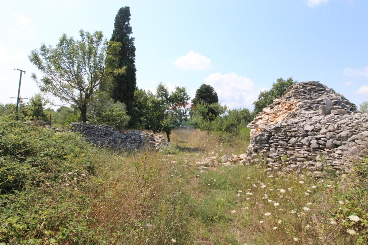 VODNJAN