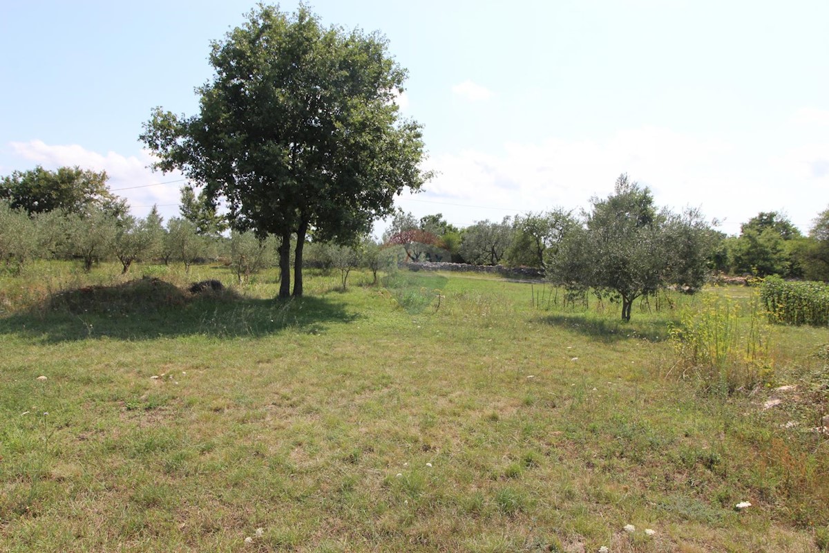 VODNJAN