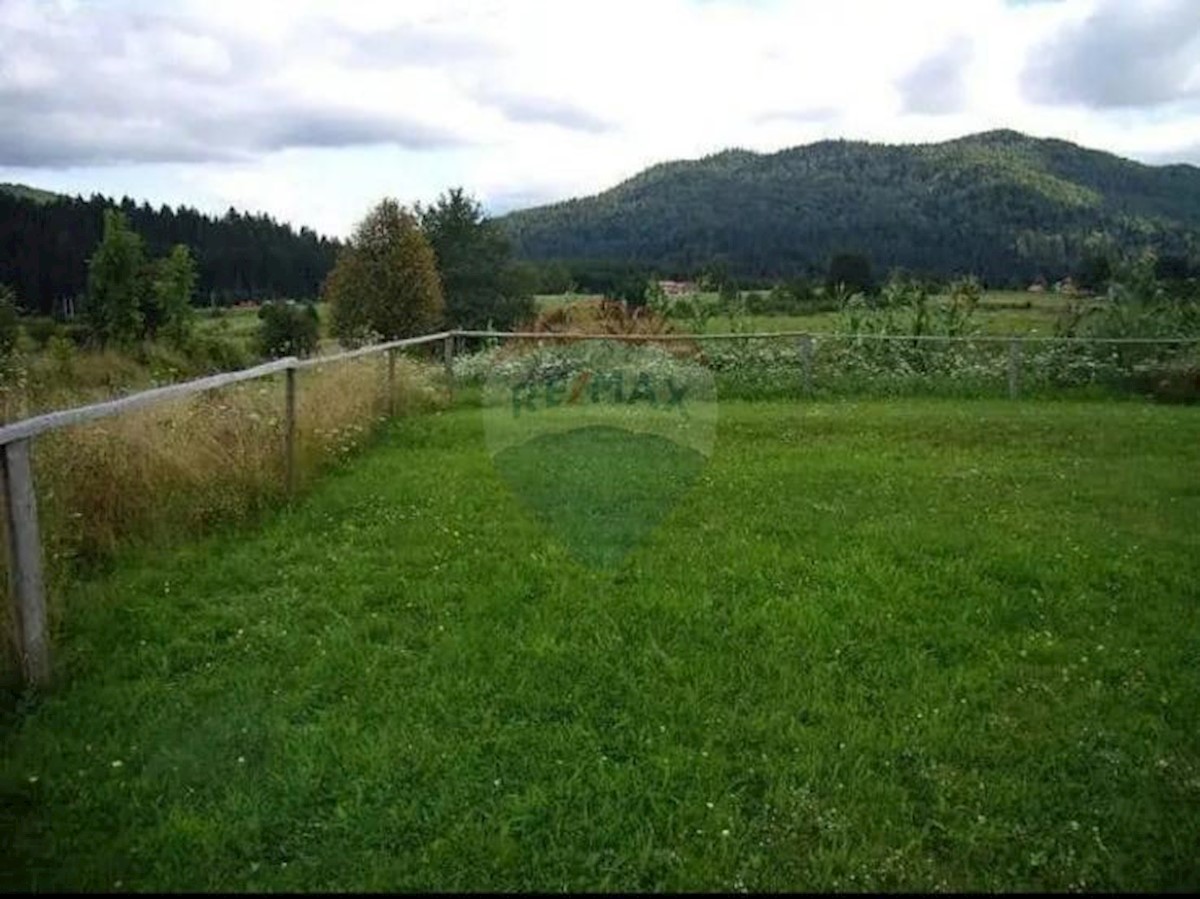 JASENAK