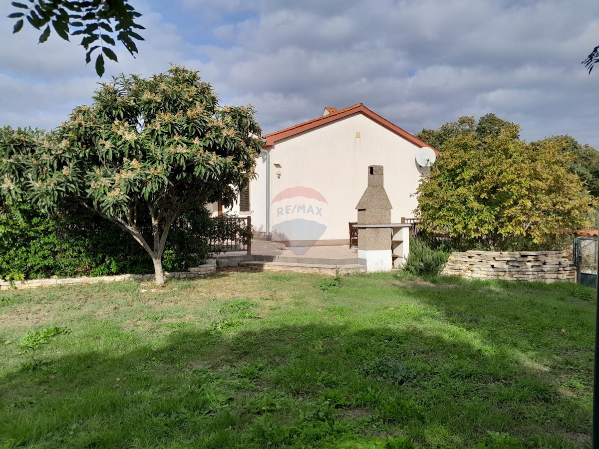 PERUŠKI