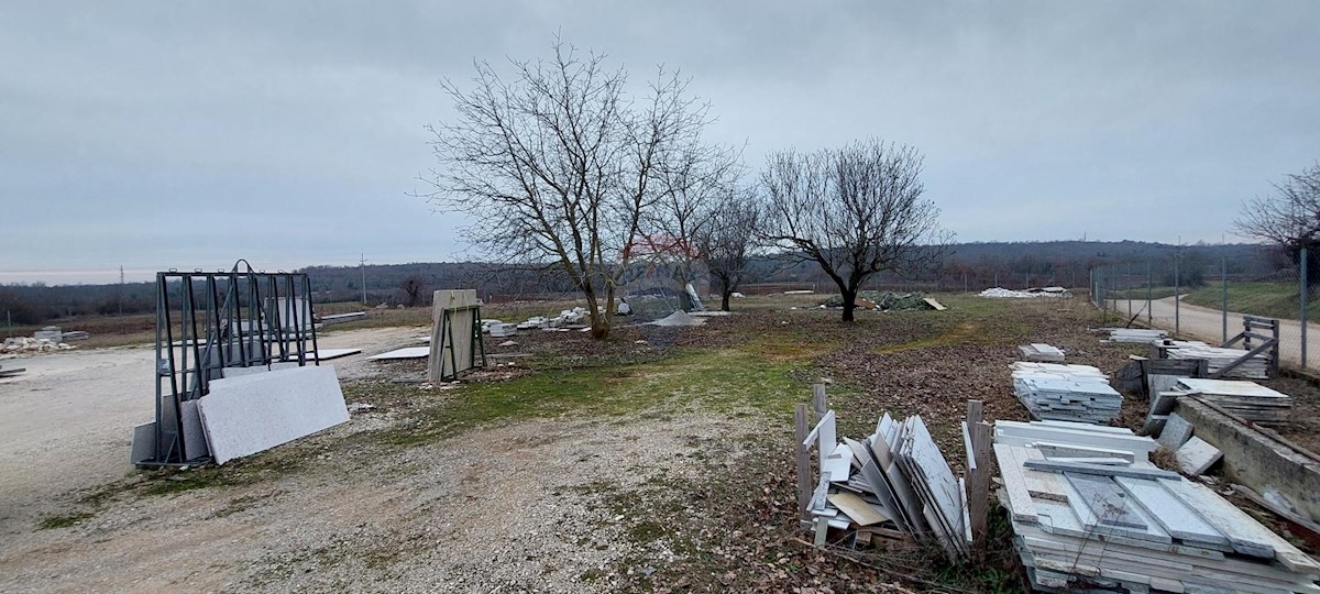 ANŽIĆI