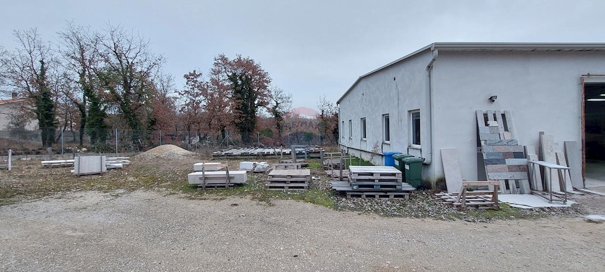 ANŽIĆI