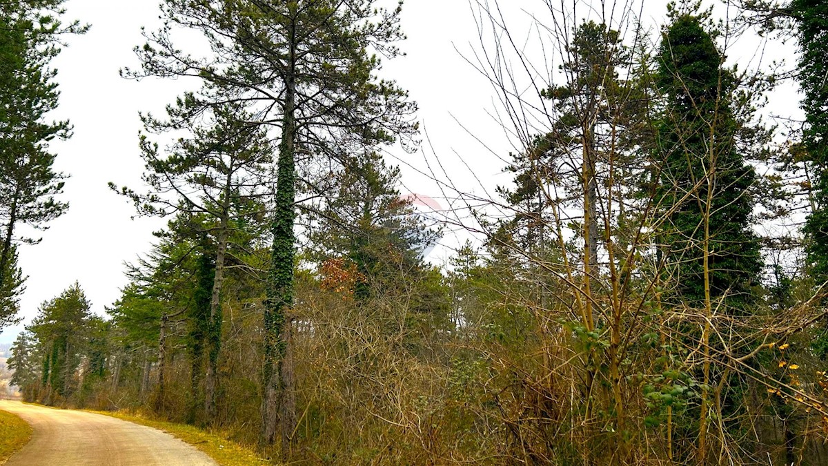 ZAVRŠJE