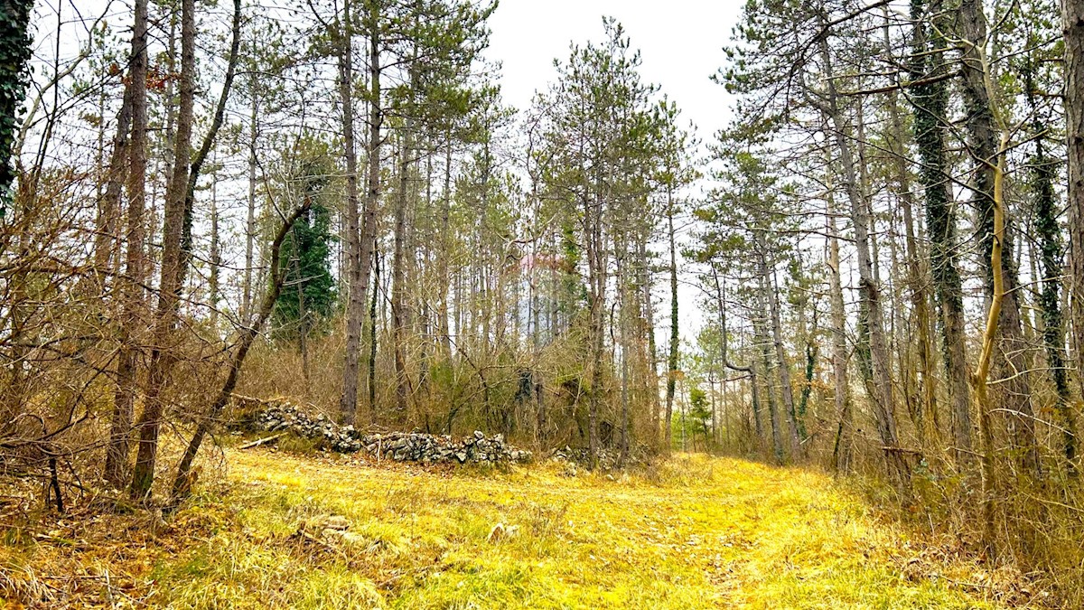 ZAVRŠJE