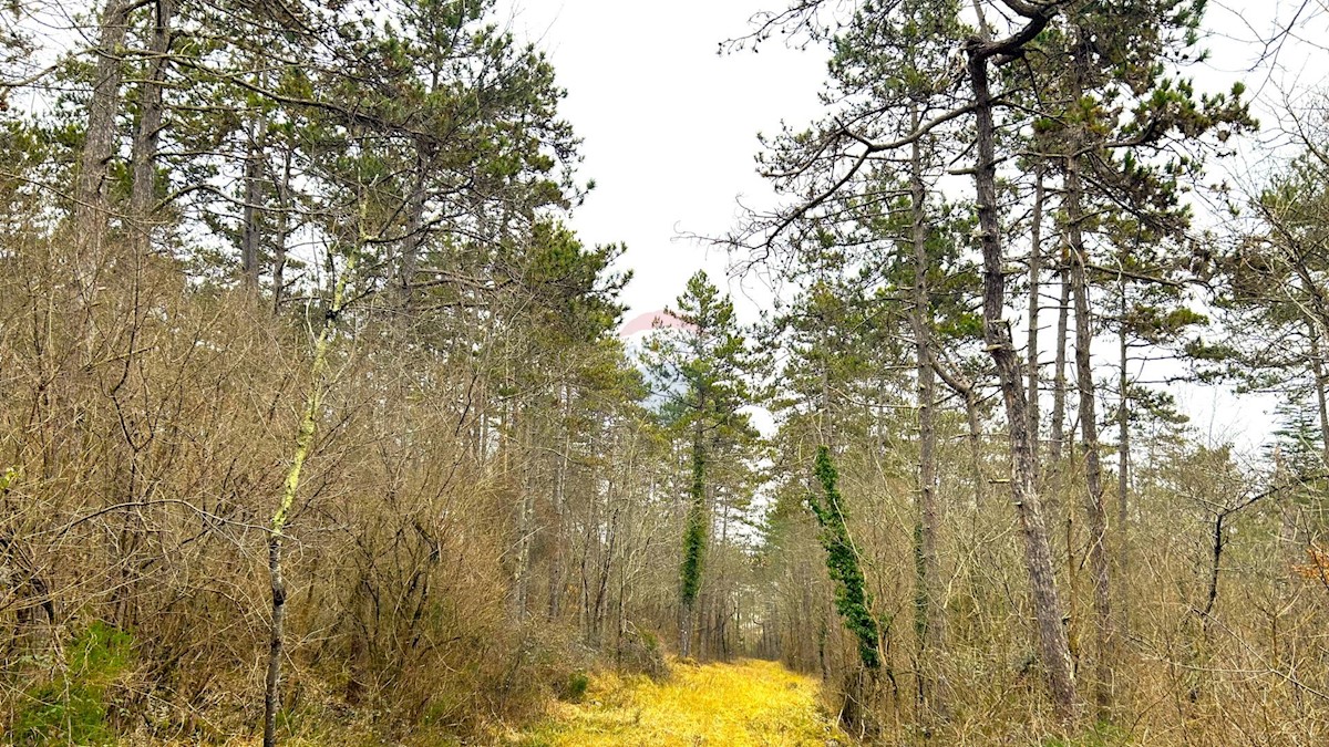 ZAVRŠJE
