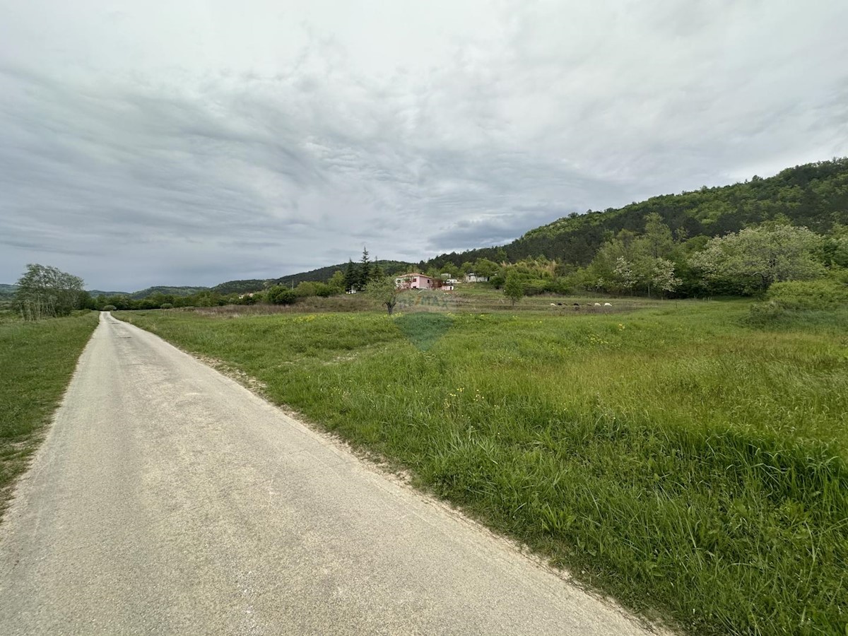 GOLOGORIČKI DOL