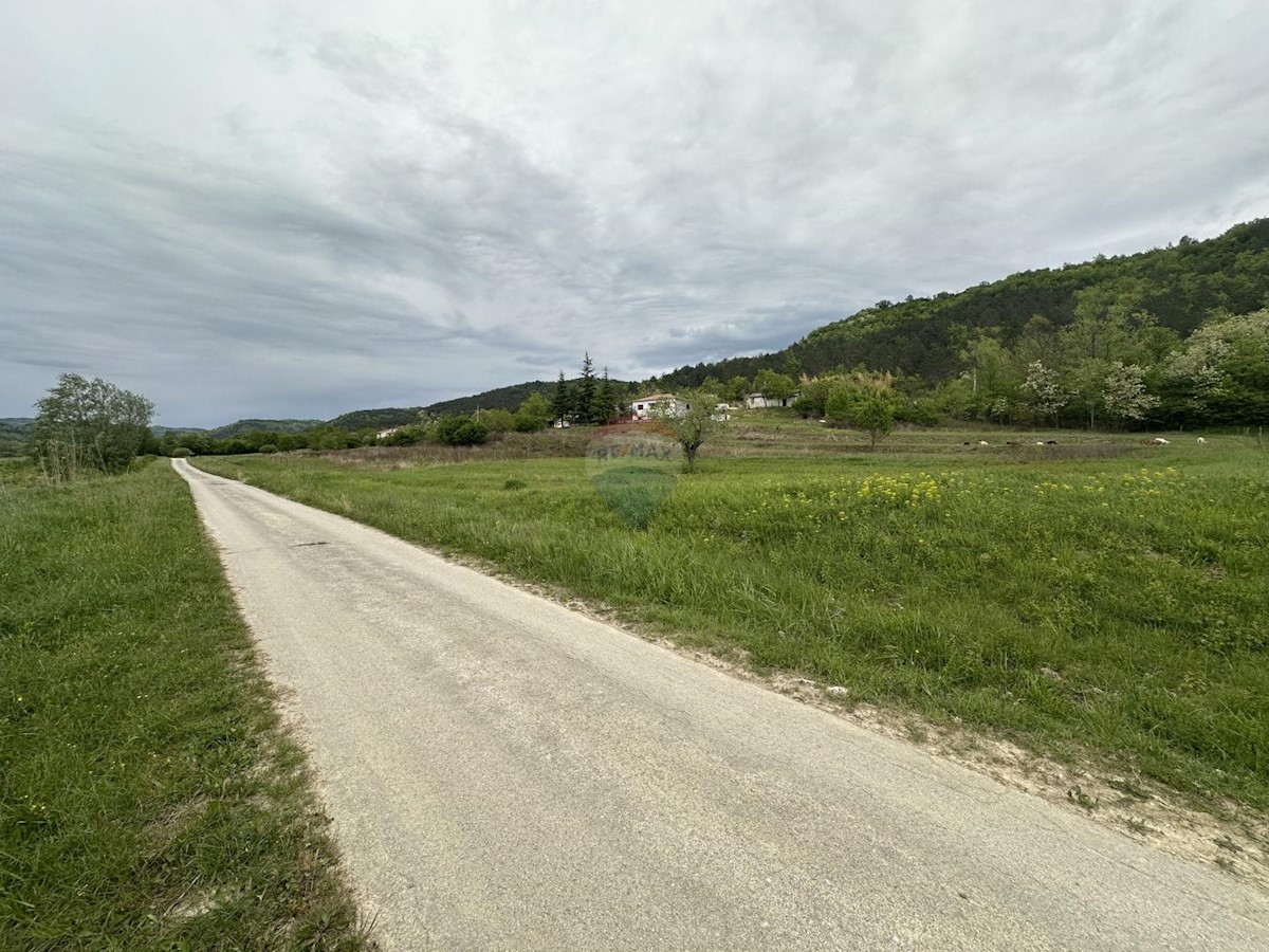 GOLOGORIČKI DOL