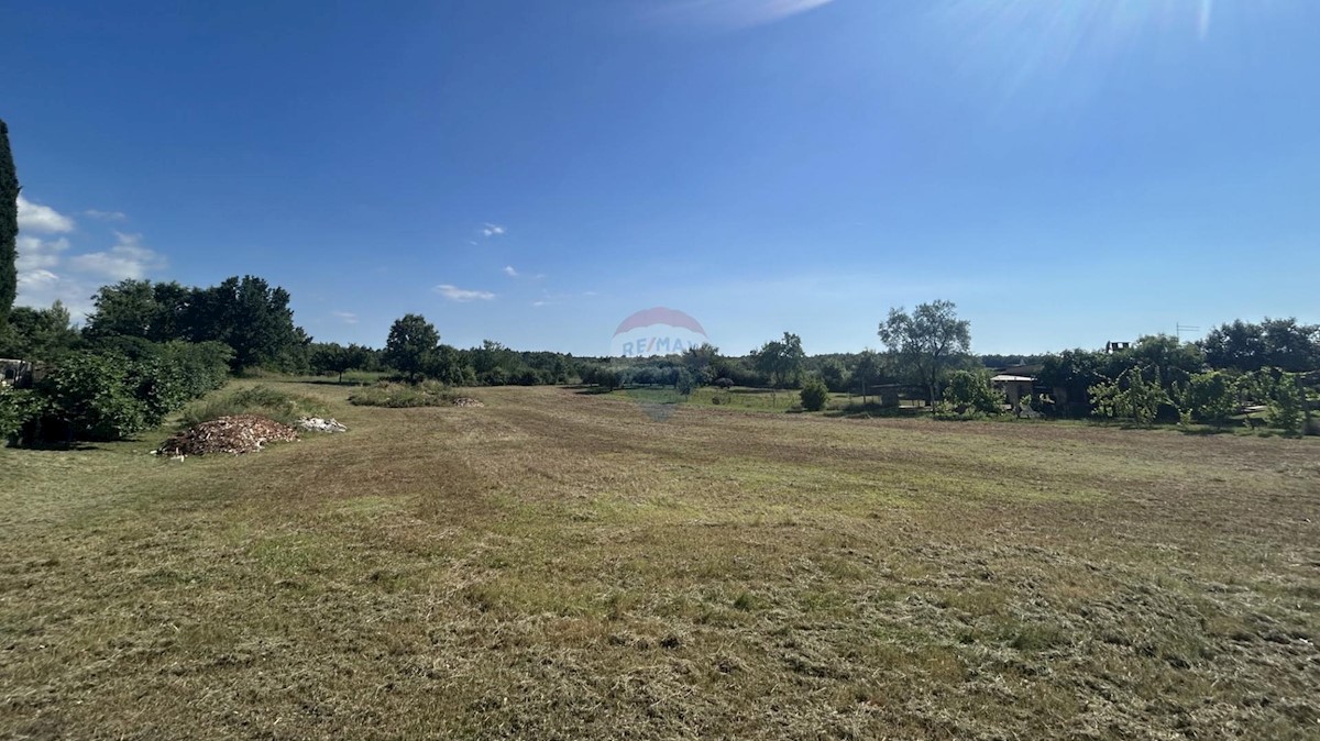 MILANEZI