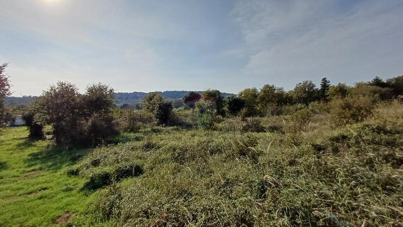LIŽNJAN