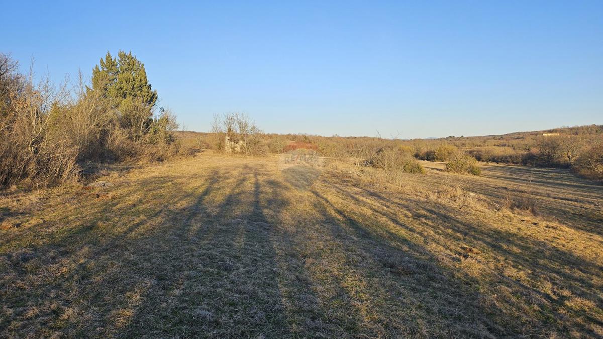 GROŽNJAN